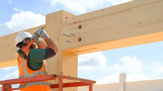 Testeee - Building a Regenerative Future: Patrick O’Gorman on Bywater’s Vision - teste