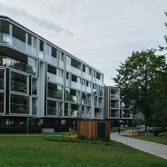 Should the Real Estate Industry Avoid (Or Postpone) AI Adoption? 