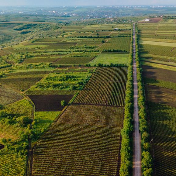 Fiagros deslancham, e mercado aguarda com otimismo publicação de nova norma